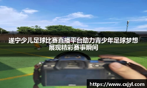 泛亚电竞手机app